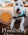 The Possibility Dogs: What a Handful of Unadoptables Taught Me About Service, Hope, and Healing