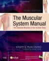 The Muscular System Manual: The Skeletal Muscles of the Human Body, 3e