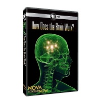 Nova Science Now: How Does the Brain Work