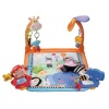 Fisher-Price Discover 'n Grow Open Play Musical Gym