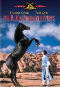 The Black Stallion Returns