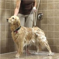 The Rinse Ace® Pet Shower Deluxe PLUS