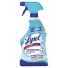 Lysol Power and Free Bathroom Cleaner, 22 Ounce