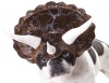 Animal Planet PET20104 Triceratops Dog Costume, Medium