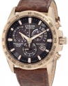 Citizen Men's AT4003-04E Perpetual Chrono A-T Limited Edition Watch