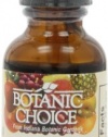 Botanic Choice Alcohol Free Liquid Extract, Horsetail Herb, 1 Fluid Ounce (Pack of 2)