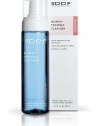 DDF Blemish Foaming Cleanser