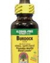 Nature's Answer - Burdock Root Alcohol Free, 1 fl oz liquid