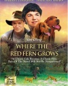 Where the Red Fern Grows