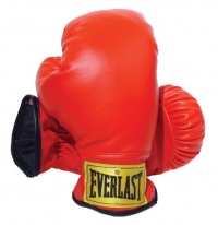 Everlast Youth Boxing Gloves (Red, Small)