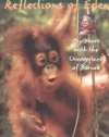 Reflections of Eden: My Years with the Orangutans of Borneo