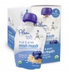 Plum Organics Tots Fruit and Grain Mish Mash, Blueberry, Oats and Quinoa, 3.17-Ounce Pouches (Pack of 12)