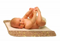 Ah Goo Baby Plush Pad with Memory Foam, Chocolate/Green Circles