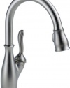 Delta Faucet 9178-AR-DST Leland Single Handle Pull-Down Kitchen Faucet, Arctic Stainless