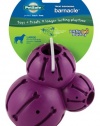 PetSafe Busy Buddy Barnacle Dog Toy, Large