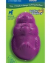 PetSafe Busy Buddy Squirrel Dude Dog Toy, Medium