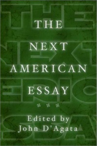 The Next American Essay