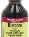 Nature's Answer Burdock Root, 2-Ounce