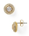 Nadri Pave Framed Stud Earrings