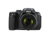 Nikon COOLPIX P520 18.1 MP CMOS Digital Camera with 42x Zoom Lens and Full HD 1080p Video (Dark Grey)