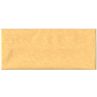 #10 (4 1/8 x 9 1/2) Antique Gold Recycled Parchment Paper Envelope - 25 envelopes per pack