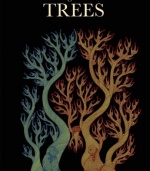 The Night Life of Trees