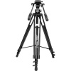 Davis & Sanford PROVISTA7518XB Provista Tripod with FM18 Head