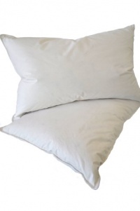 Natural Comfort Standard Classic White Goose Down Feather Pillow, 26-Ounce, Set of 2