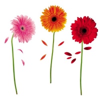 ROOMMATES RMK1553SCS Small Gerber Daisies Peel & Stick Wall Decals