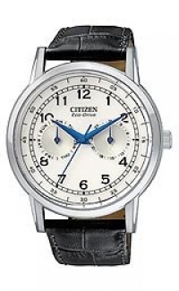 Citizen Men's AO9000-06B Eco-Drive Stainless Steel Day-Date Watch