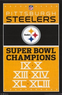 Pittsburgh Steelers Champions Football Poster